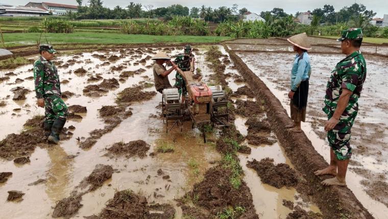 Danramil 02 Klampok Dukung Ketahanan Pangan Lewat Pengolahan Lahan Bersama Petani