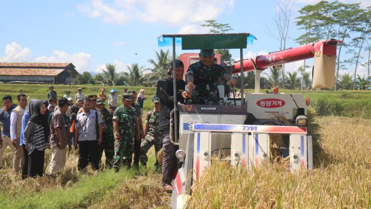 Panen Raya Serentak Banjarnegara Sumbang Ketahanan Pangan Nasional