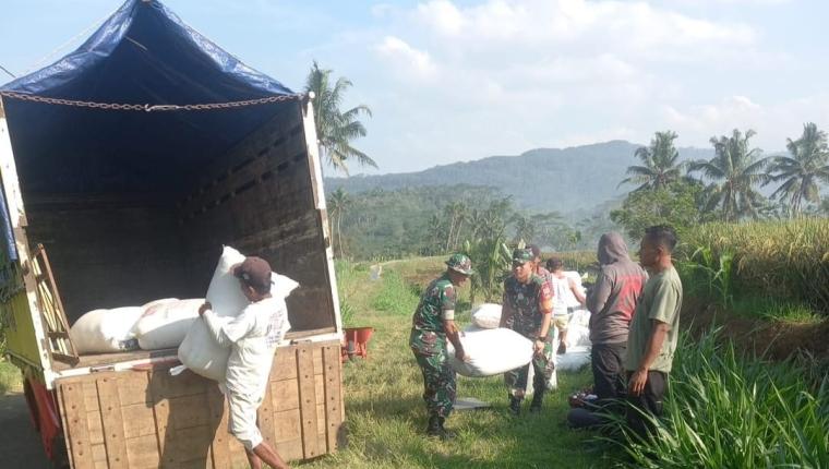 Babinsa Koramil 10 Bawang Bantu Petani Angkut Hasil Panen ke Bulog